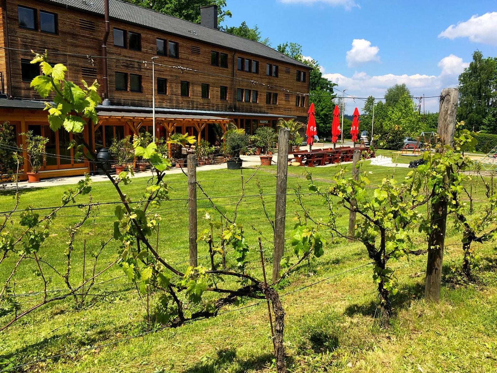Sporthotel Barborka Hluboká nad Vltavou Екстериор снимка